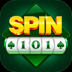Spin 101